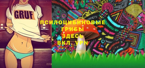 стафф Балахна