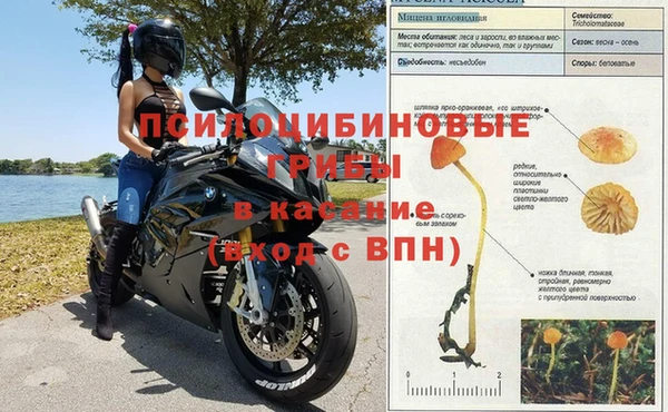марихуана Баксан